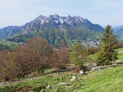 Al Rifugio Capanna 2000 ad anello: neve in scioglimento, fiori in crescita ! 30apr24- FOTOGALLERY